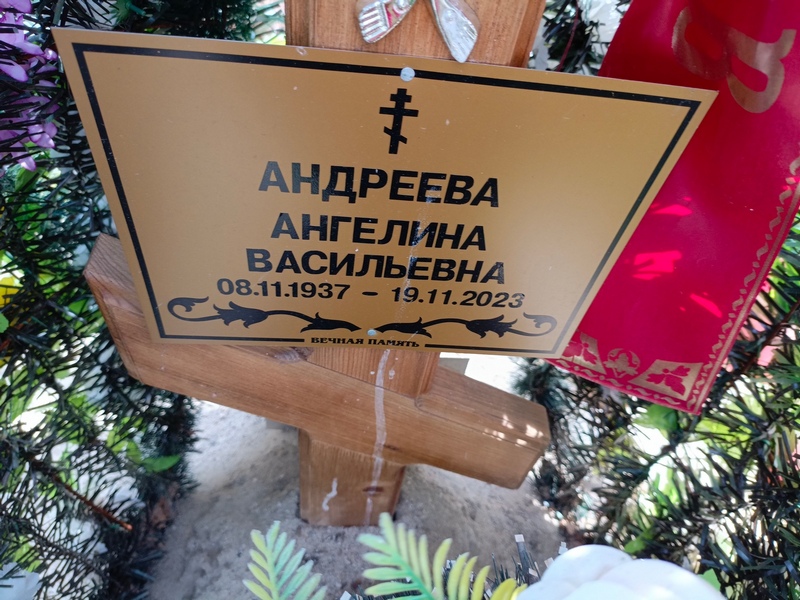 Ангелина Андреева Васильевна